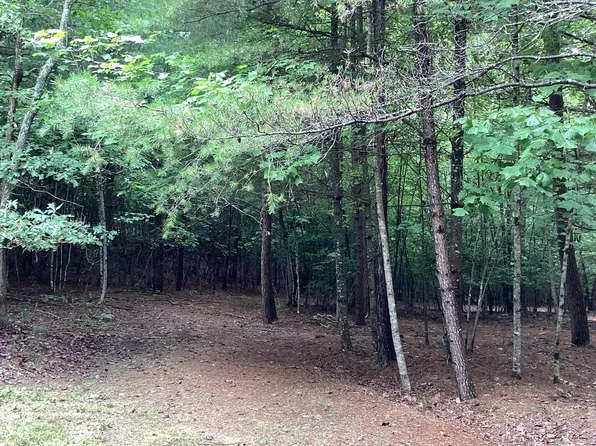 Baisto Ln Lot 24, Blairsville, GA 30512