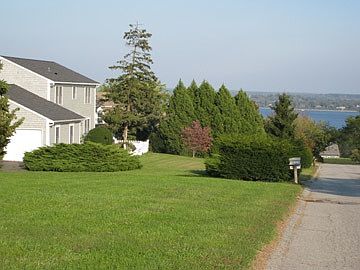 view