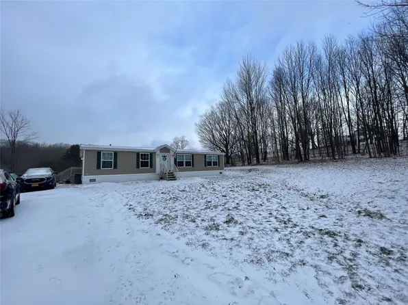 293 Buckley Hill Rd, Afton, NY 13730