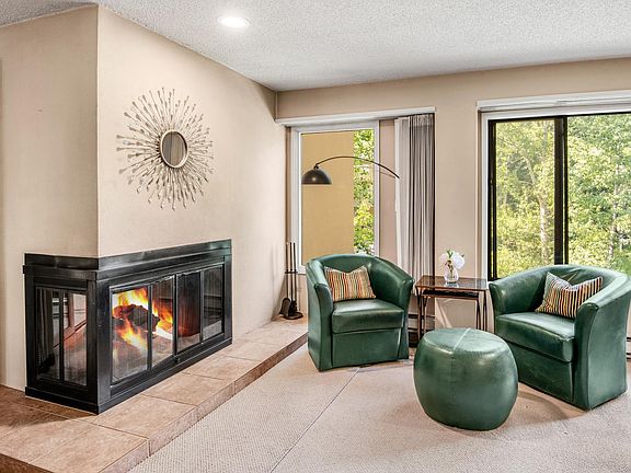 wood burning fireplace