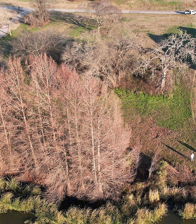 1st image of 64 Shore Crest Way