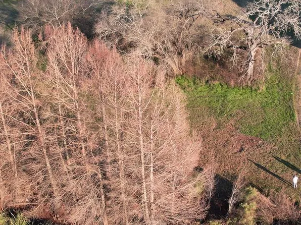 64 Shore Crest Way, Athens, TX 75752