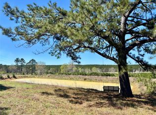 3550 Tbd County Rd, Woodville, TX 75979