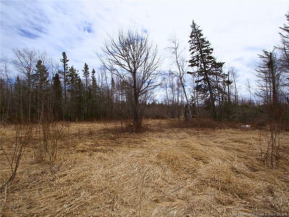 5th image of LOT Moore Rd