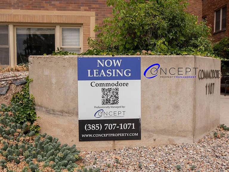 Commodore — Photo 140