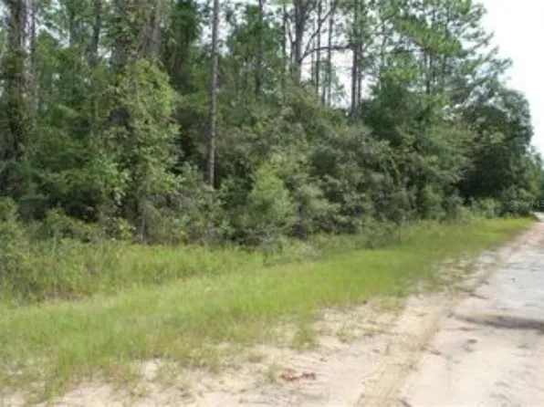 10381 NE 81st St, Bronson, FL 32621