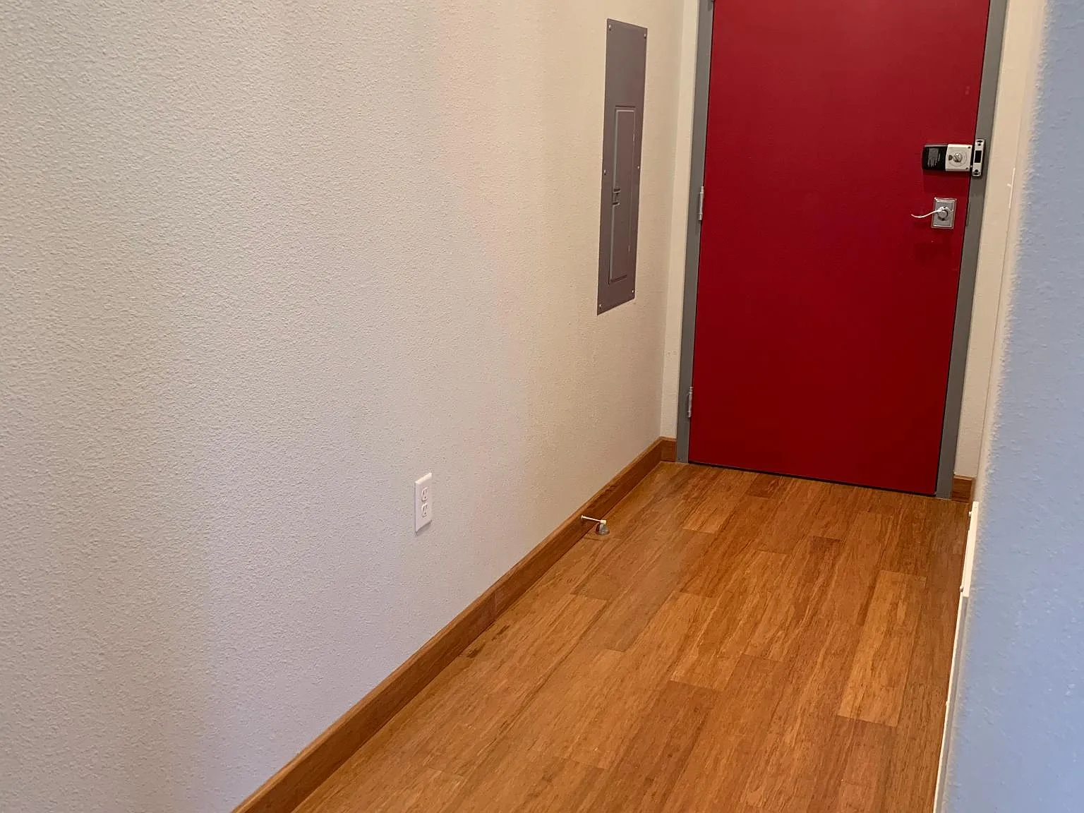 1 bed, 668 sqft, $1,300 — Photo 3