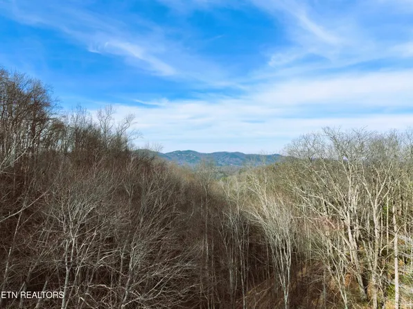 Balsam Cir, Gatlinburg, TN 37738