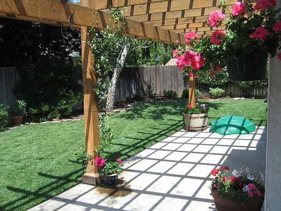 Enclosed yard with new sod and beautiful landscaping