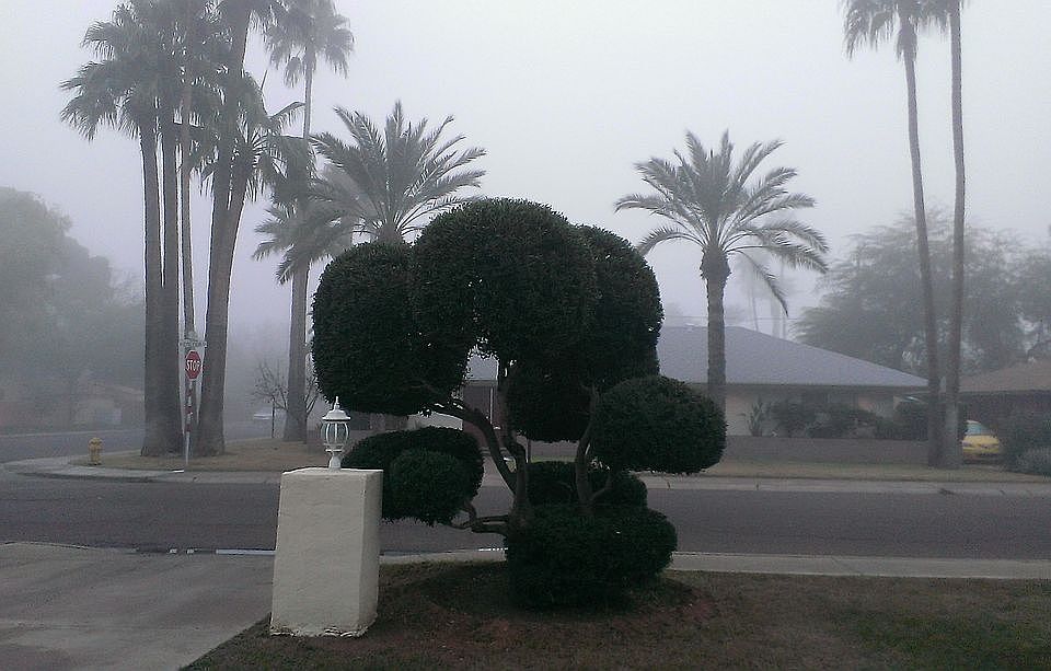 View from front porch