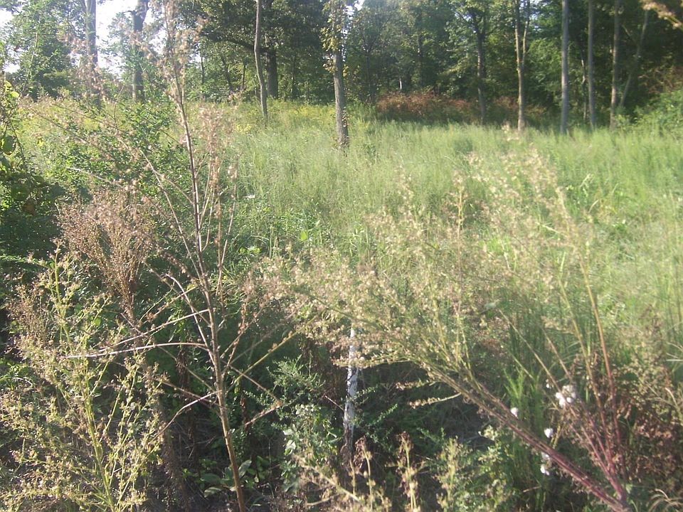 2nd image of 5331 County Road 9