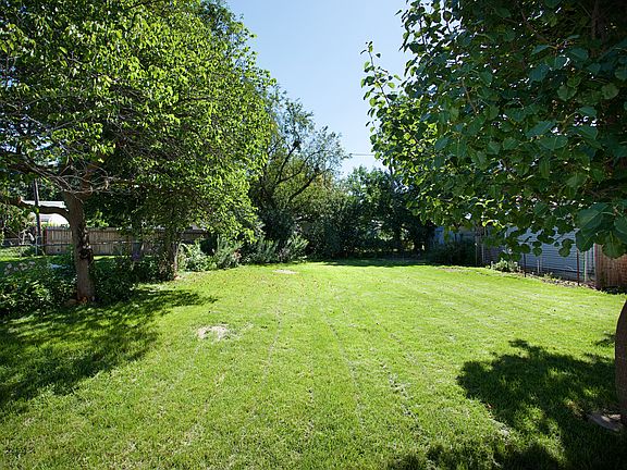 Backyard - full of flowers