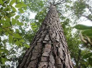 Fox Rd, Gloster, MS 39638