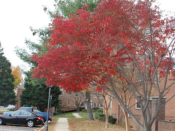 5th image of 2513 Arlington Blvd APT 101