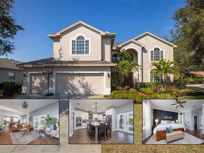 5292 Kernwood Ct, Palm Harbor, FL, 34685