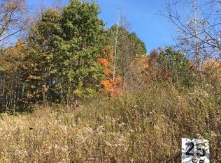 LOT 25 Jacob Ct, Dimondale, MI 48821