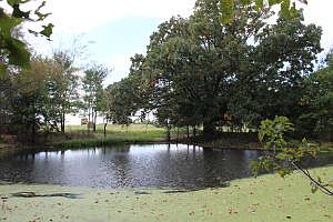 2nd image of 0 Marion County #8046