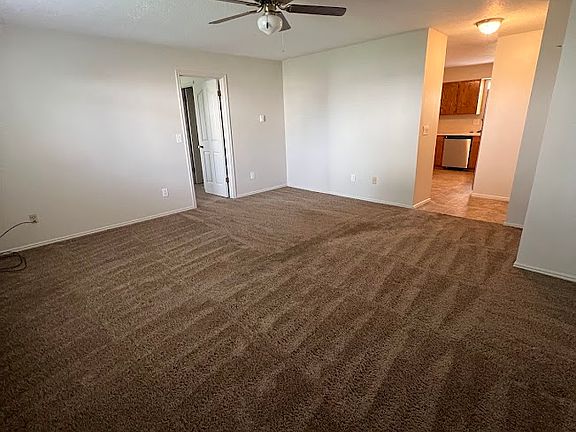 Living room standing at back door