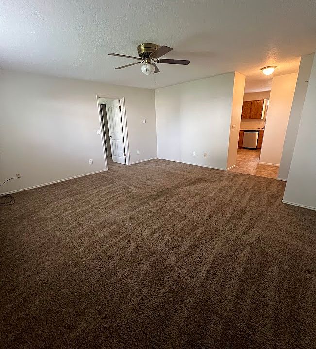 Living room standing at back door