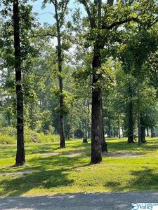 LOT 51 Woodmont Rd, Cedar Bluff, AL, 35959