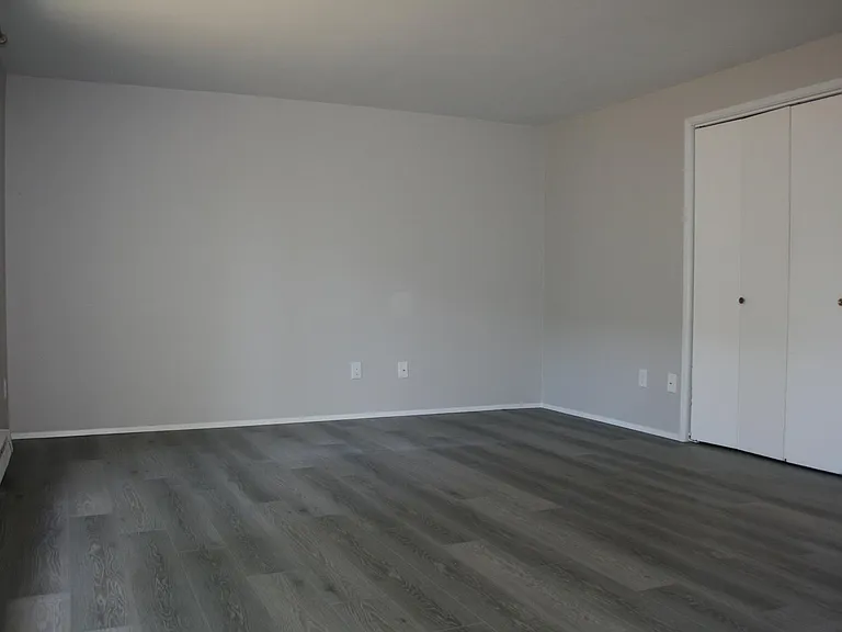 Living Room with Second Full Size Closet