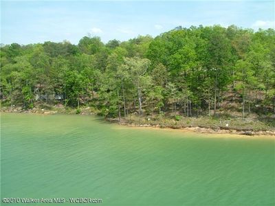 LOT 28 Albatross Way, Arley, AL, 35541
