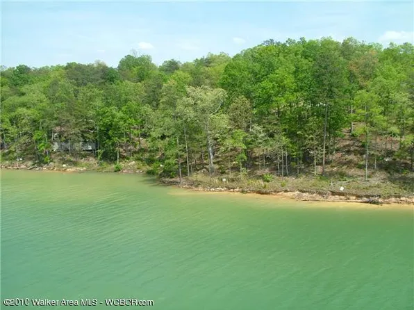30 Albatross Way, Arley, AL 35541