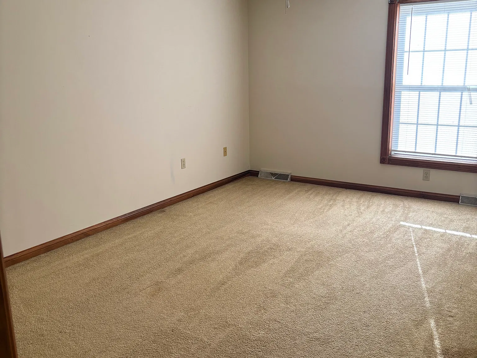 Greenbriar Ct, Campbellsville — Photo 4