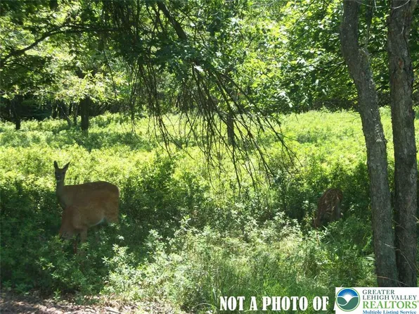 Peet Brook Rd, Genesee, PA 16923