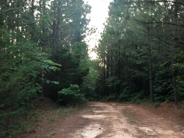 0 Hurricane Creek Rd Lot 18, Linden, TN 37096