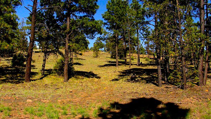 2nd image of 52 County Road 2058