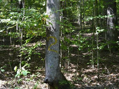 2 Rolling Mill Rd, Eddyville, KY, 42038