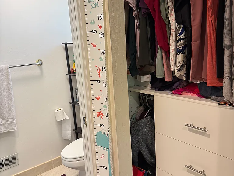 Master bedroom furnished closet