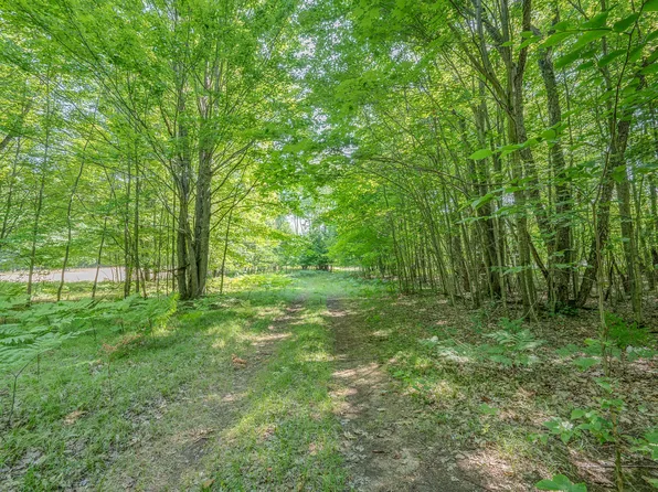 120th Ave, Hersey, MI 49639