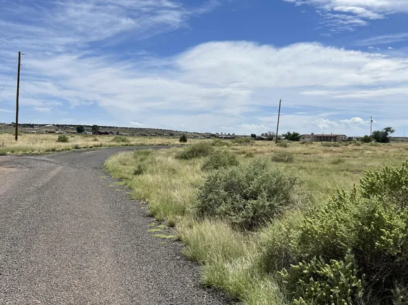 66 County Road 6015, Saint Johns, AZ 85936