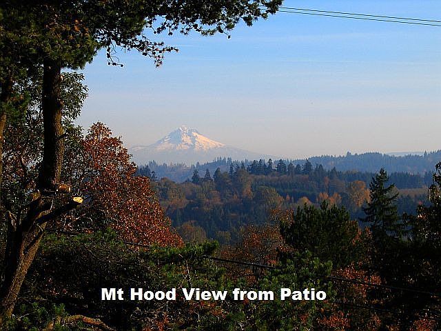 Mt. Hood view from patio