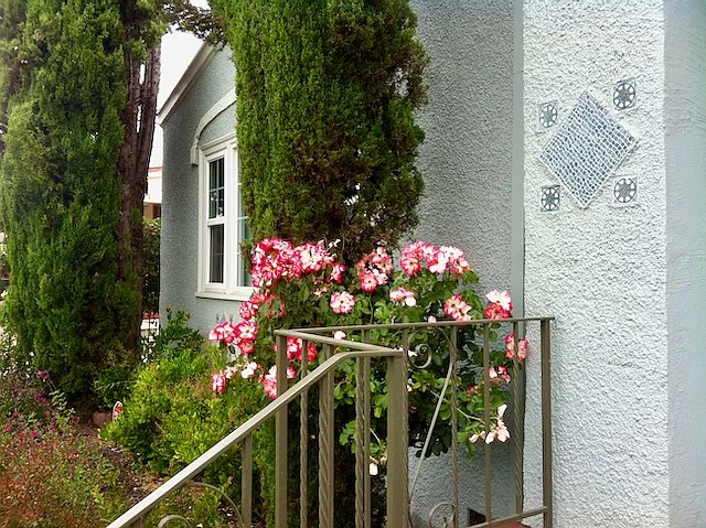 Lyon Ave — Photo 2