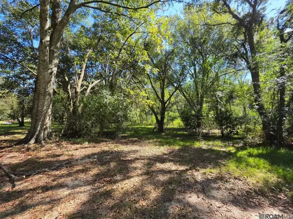 2905 Highway 412 W, Slaughter, LA 70777