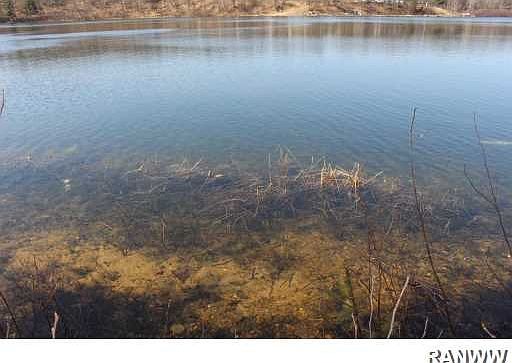 2nd image of Lot 2 Poquette Lake Road