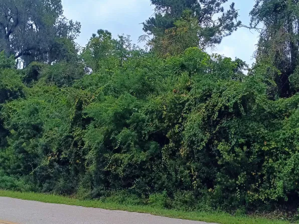311 SW Deanna Ter, Lake City, FL 32025