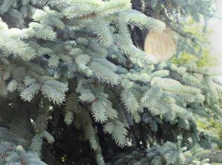 40075 National Rd, Bethesda, OH 43719