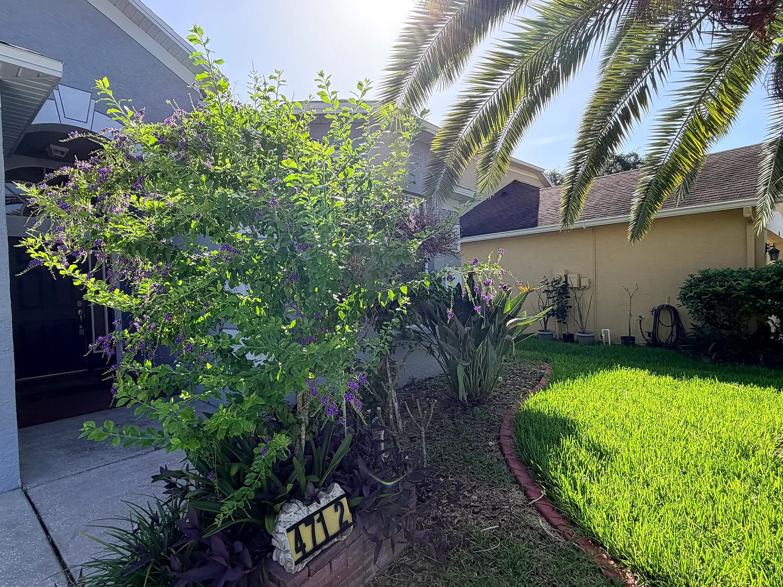 3 bed, 1832 sqft, $2,300 — Photo 4