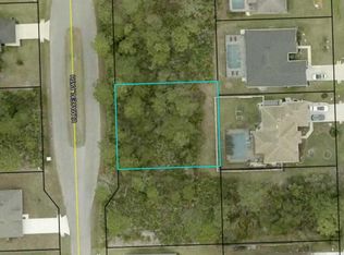 29 Ulmaceal Path Lot 15, Palm Coast, FL 32164