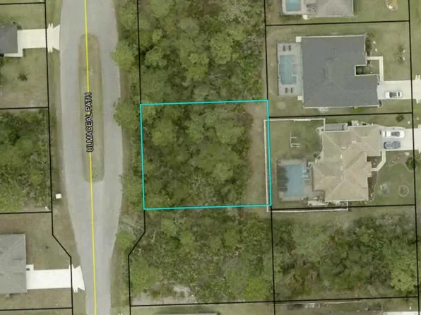 29 Ulmaceal Path Lot 15, Palm Coast, FL 32164