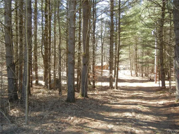 7775 Adams Hill Rd #3, Lowville, NY 13367