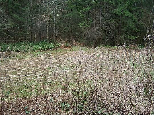 Layout of septic drainfield