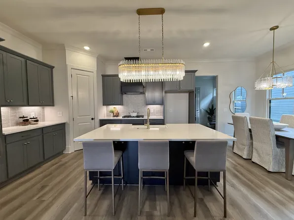 203 Tahoe Aly Lot 165, Thompsons Station, TN 37179