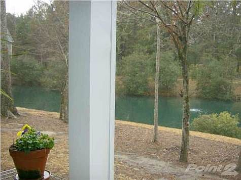 View from Screened Porch