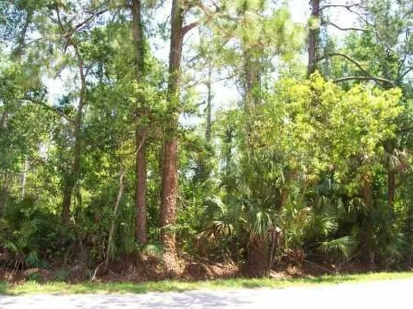 Strickland Ave, Orange City, FL 32763