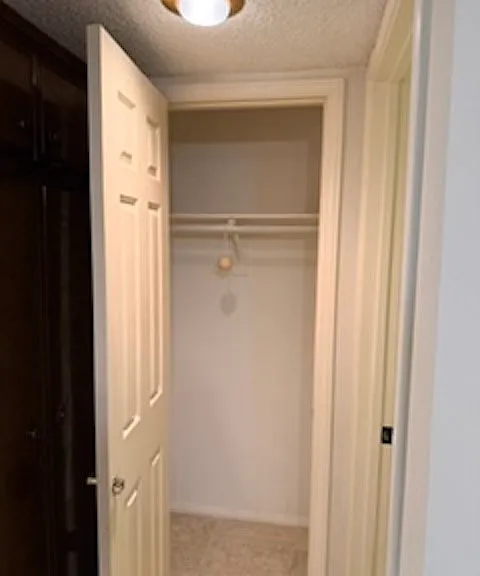26334 W Bravo Ln — Photo 29